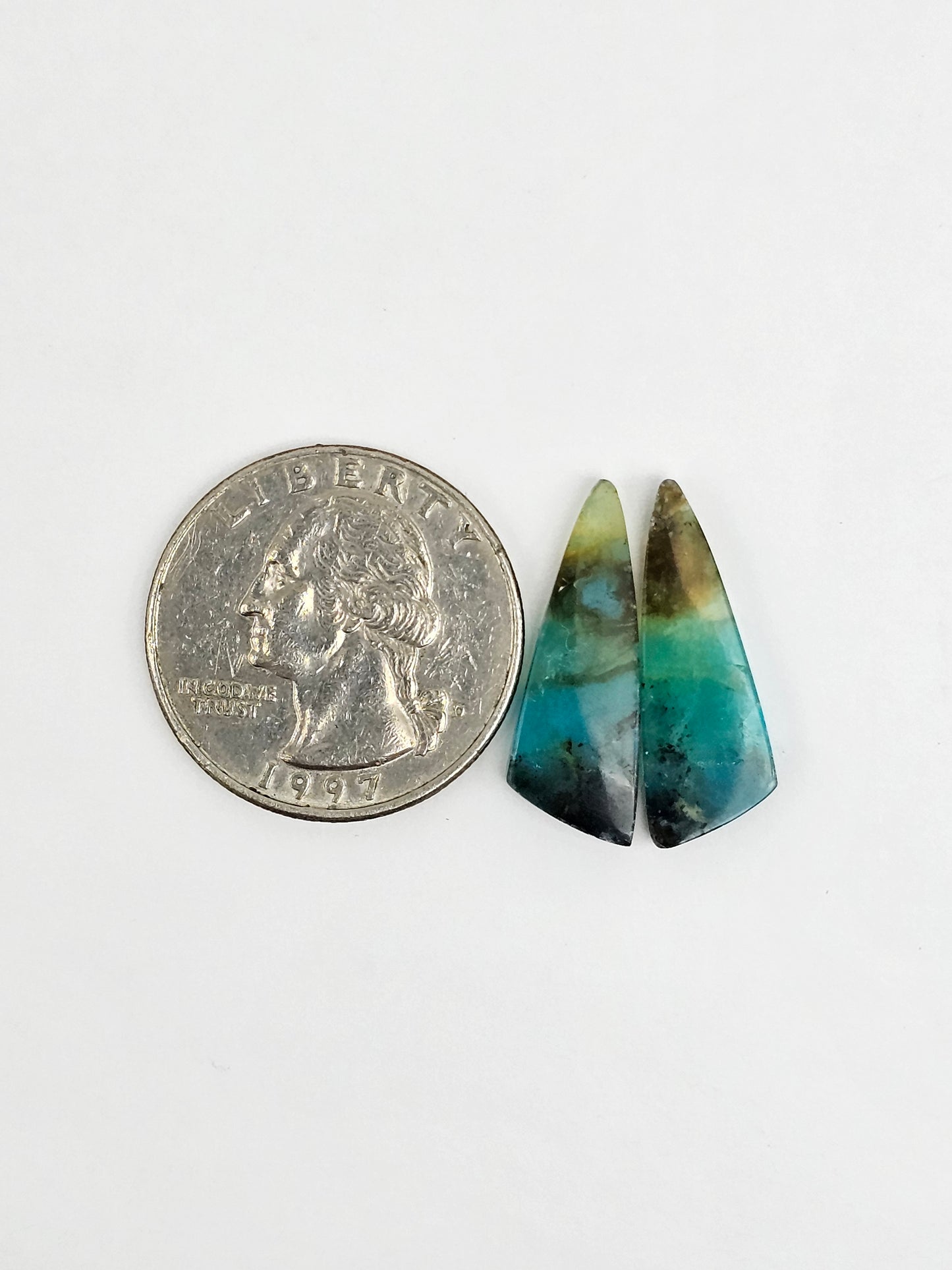 Blue Opal Petrified Wood Cabochon Pair