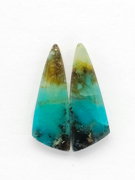 Blue Opal Petrified Wood Cabochon Pair