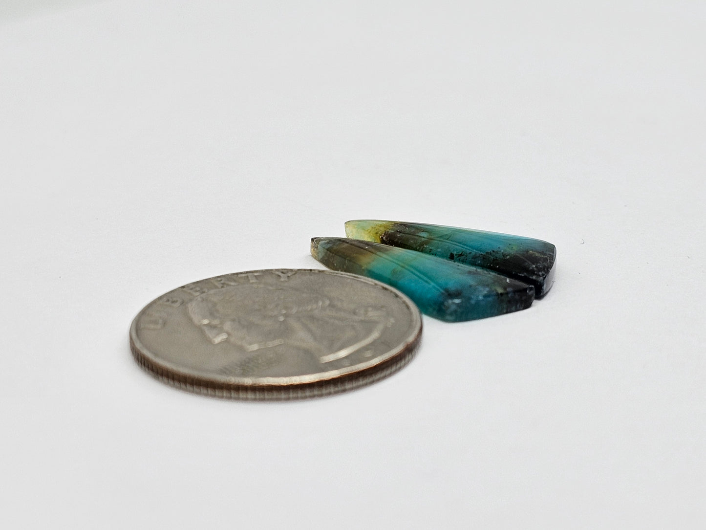 Blue Opal Petrified Wood Cabochon Pair