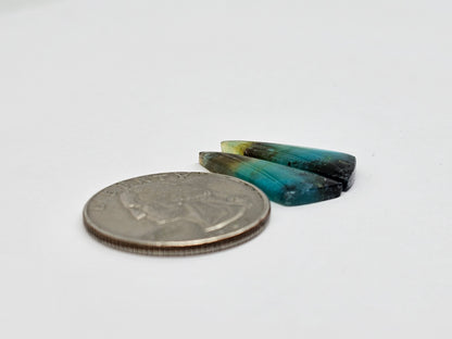 Blue Opal Petrified Wood Cabochon Pair