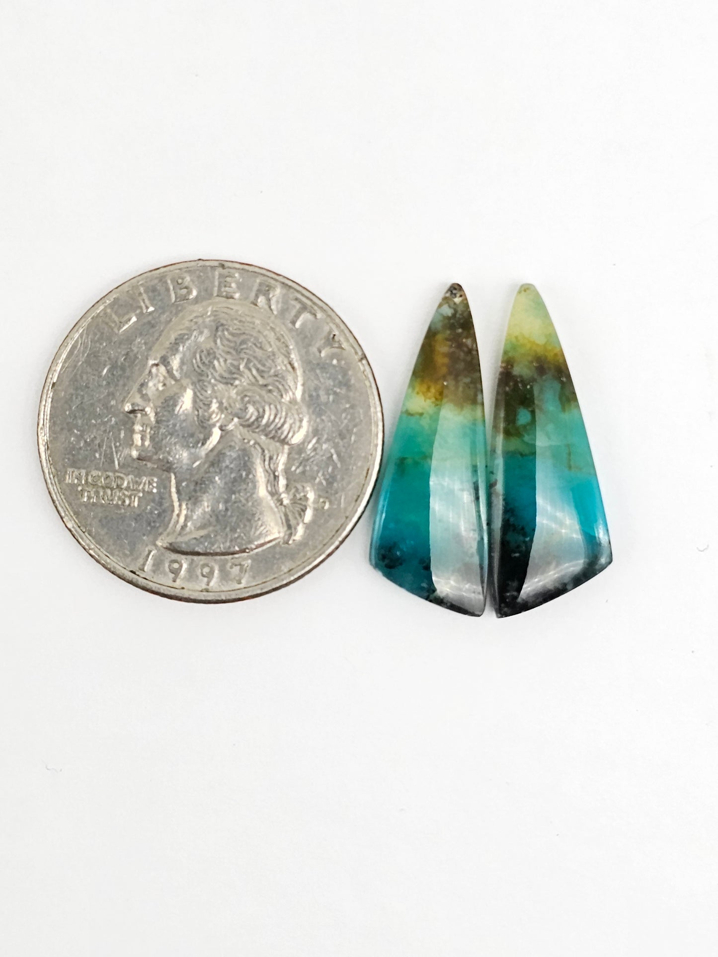Blue Opal Petrified Wood Cabochon Pair