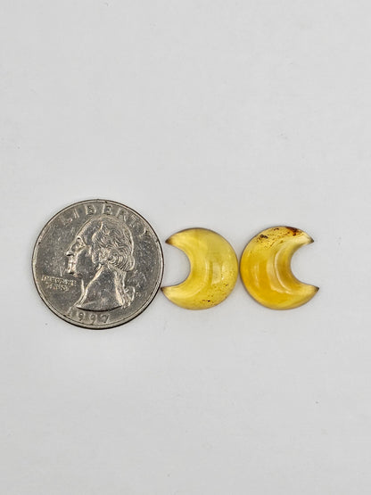 Amber authentic moon cabochon pair large