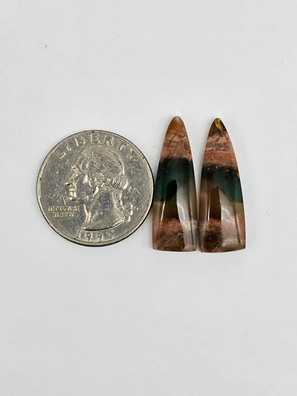 Blue Opal Petrified Wood Cabochon Pair