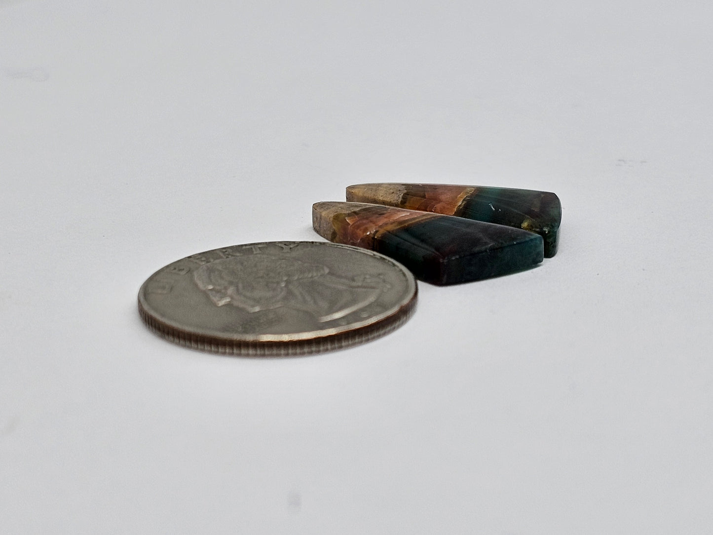 Blue Opal Petrified Wood Cabochon Pair
