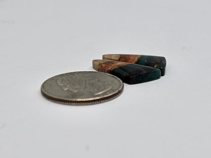 Blue Opal Petrified Wood Cabochon Pair