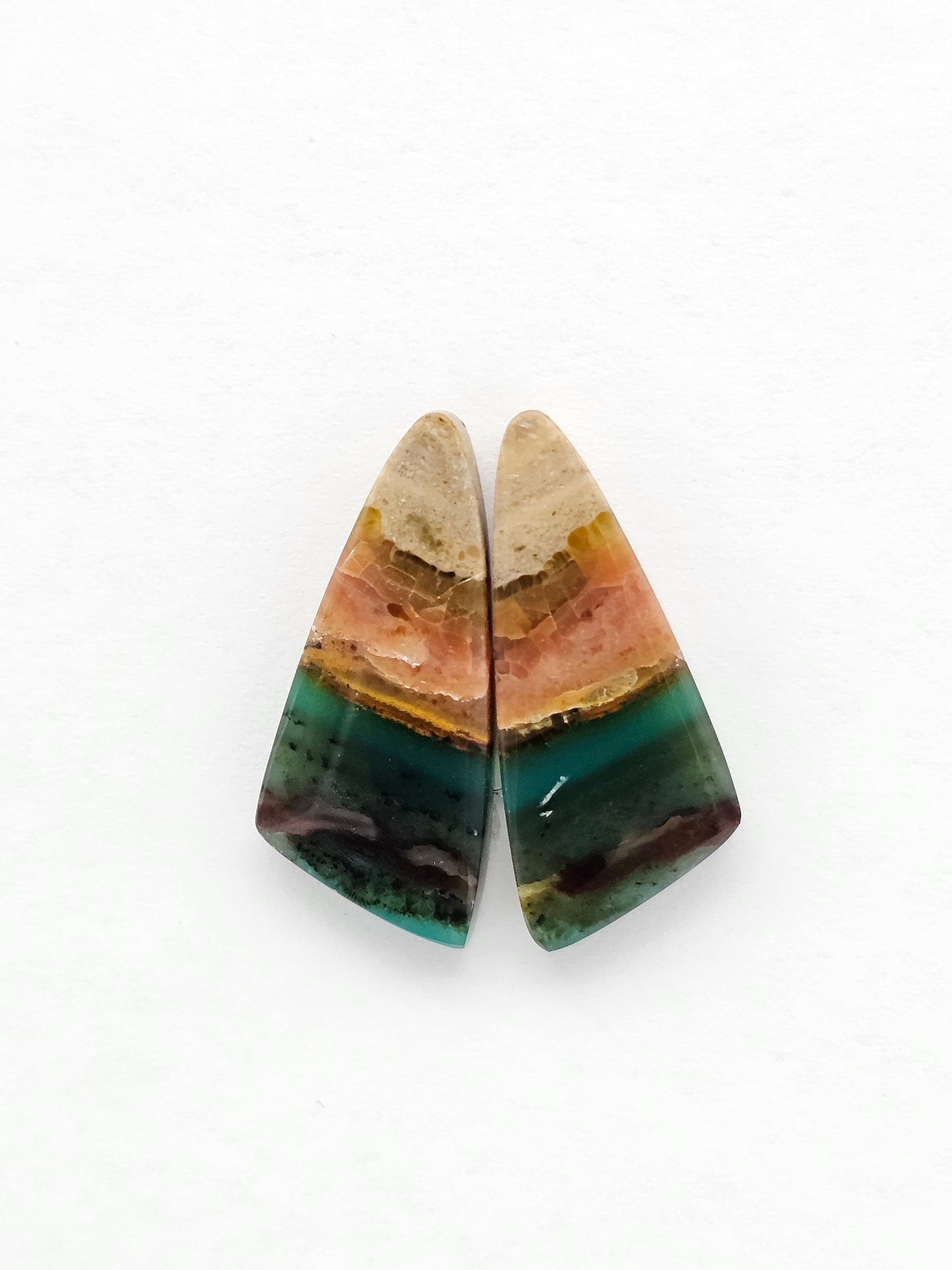 Blue Opal Petrified Wood Cabochon Pair