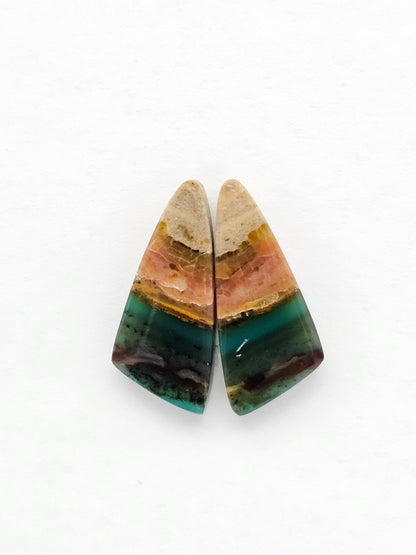 Blue Opal Petrified Wood Cabochon Pair