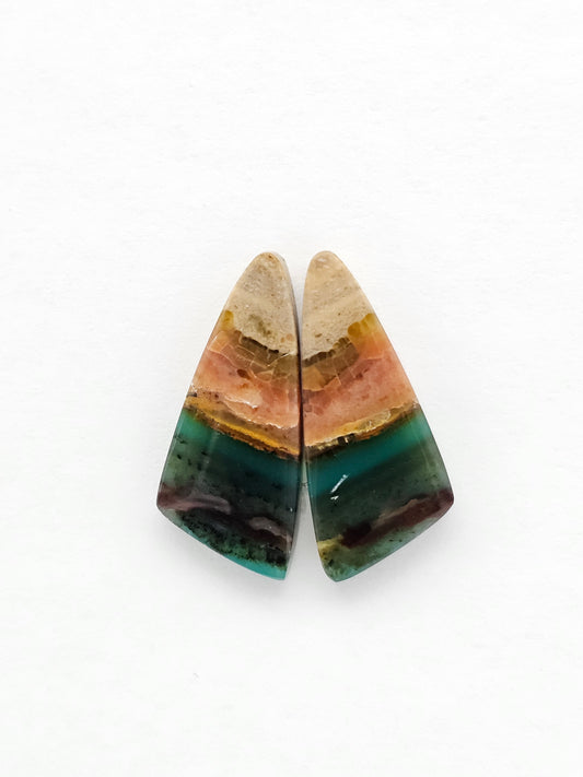 Blue Opal Petrified Wood Cabochon Pair
