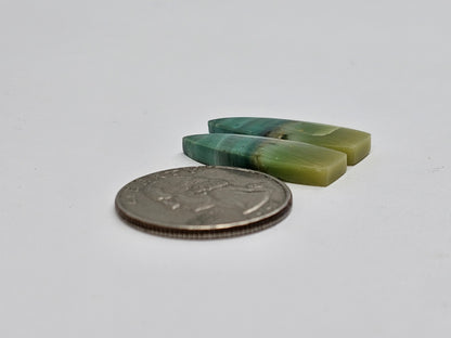 Blue Opal Petrified Wood Cabochon Pair