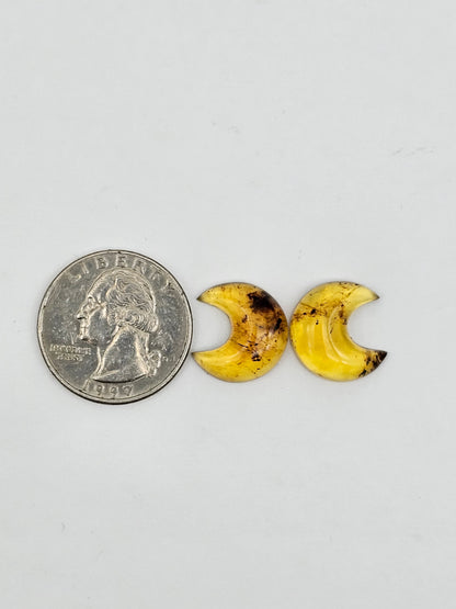 Amber authentic moon cabochon pair large
