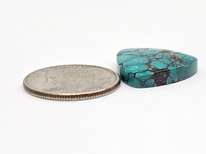 Cloud mountain Turquoise