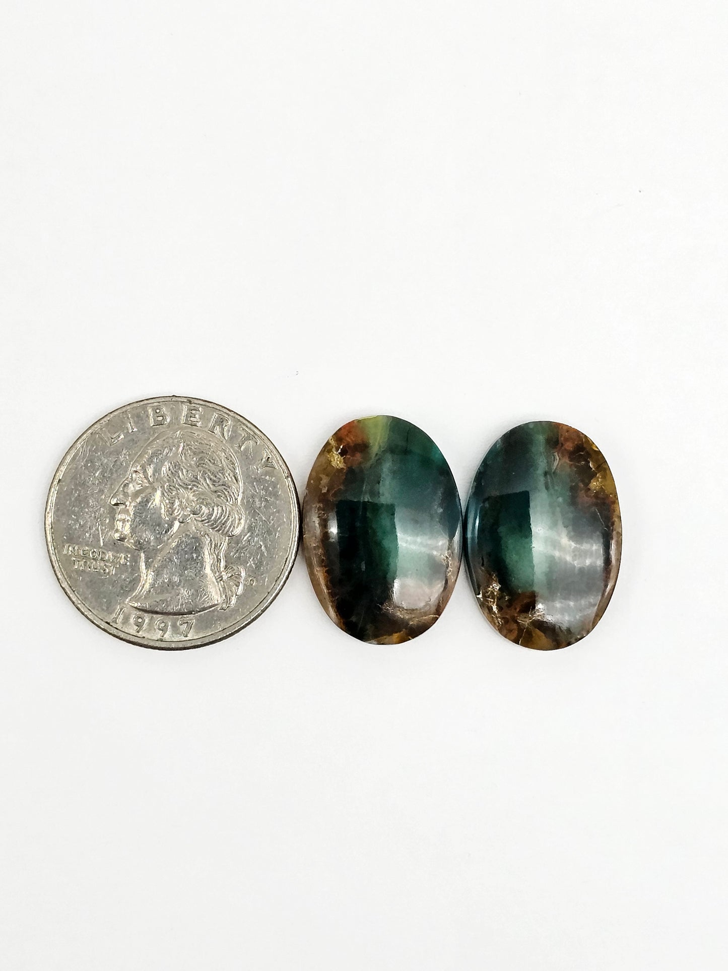 Blue Opal Petrified Wood Cabochon Pair