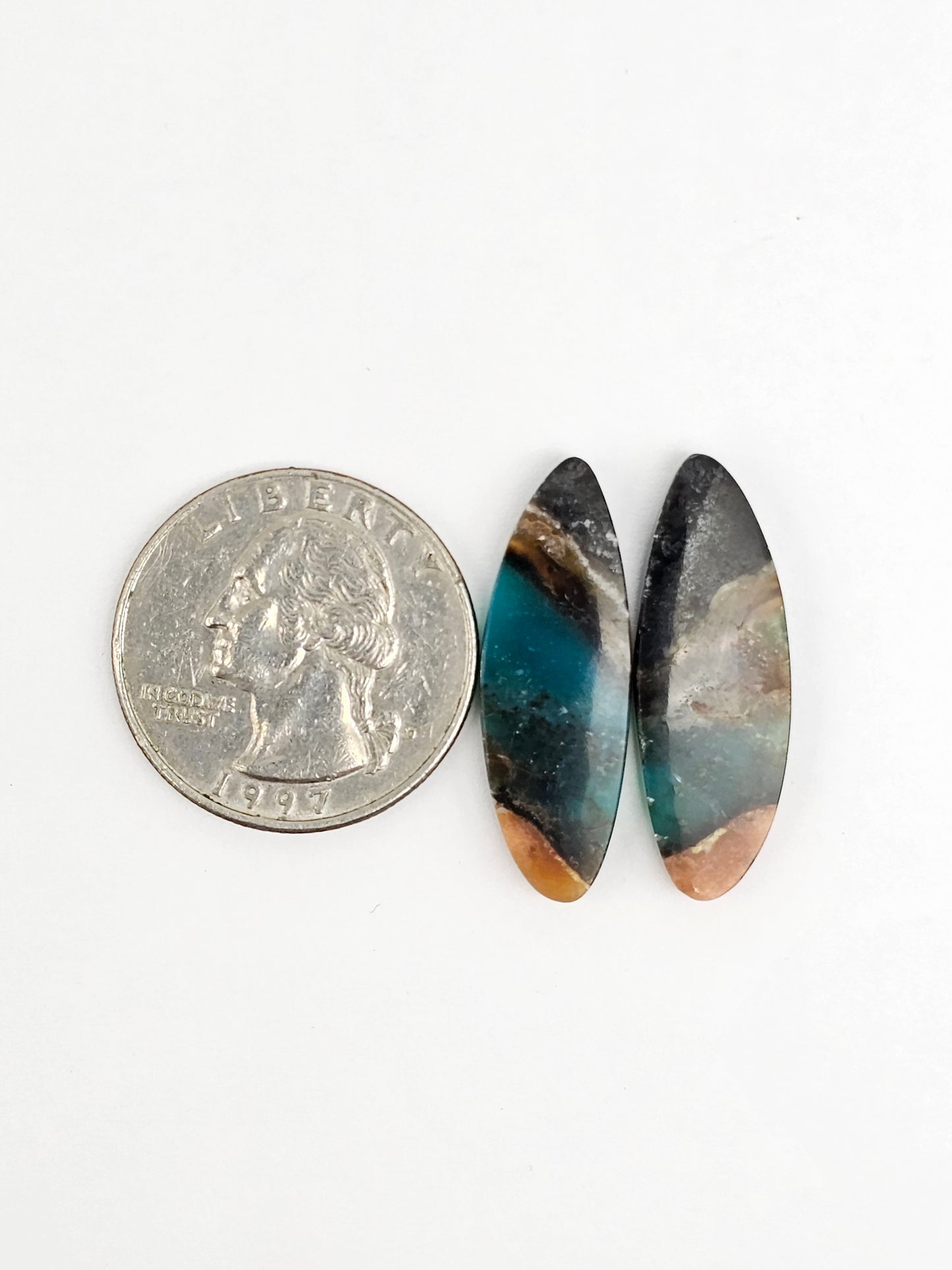 Blue Opal Petrified Wood Cabochon Pair