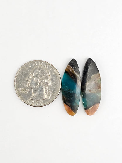 Blue Opal Petrified Wood Cabochon Pair