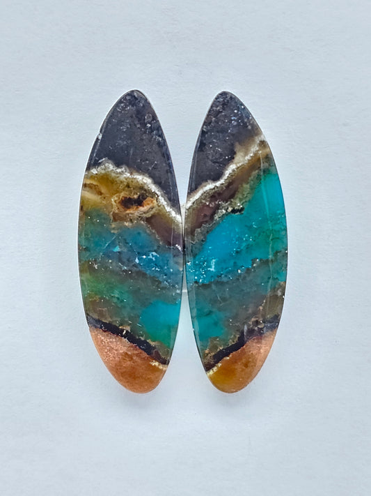Blue Opal Petrified Wood Cabochon Pair