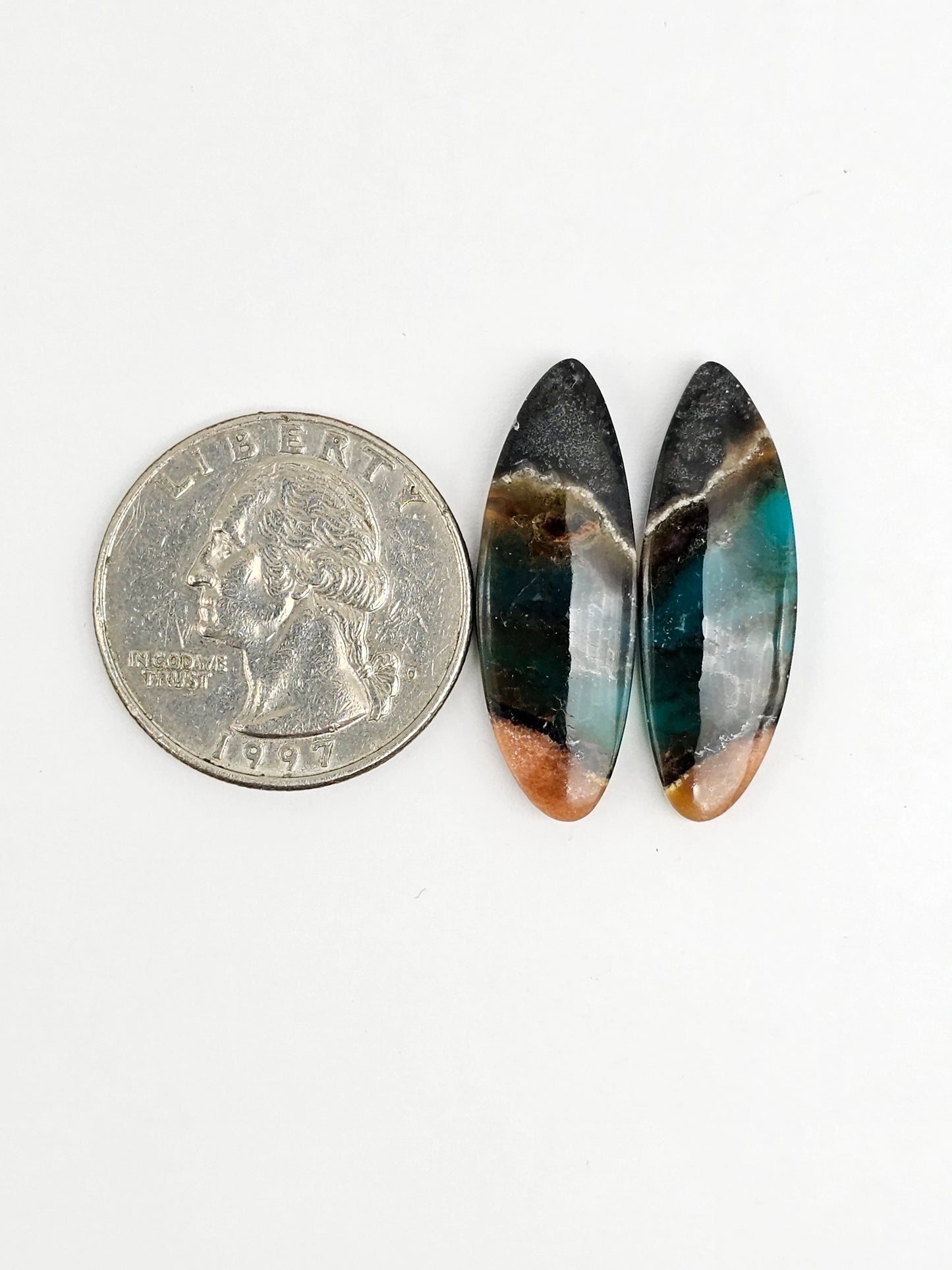 Blue Opal Petrified Wood Cabochon Pair