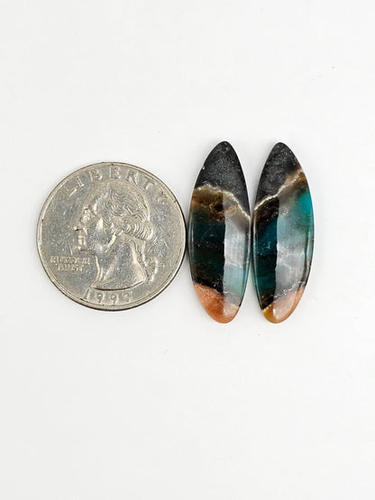 Blue Opal Petrified Wood Cabochon Pair