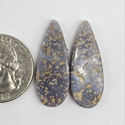 Grape Agate Cabochon Pair
