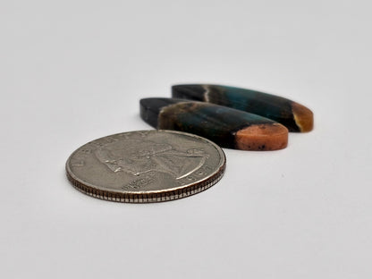 Blue Opal Petrified Wood Cabochon Pair
