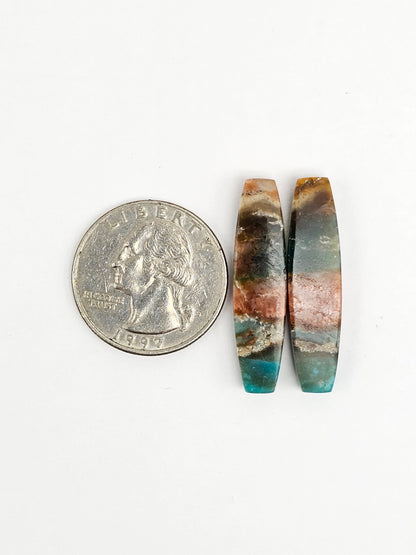 Blue Opal Petrified Wood Cabochon Pair