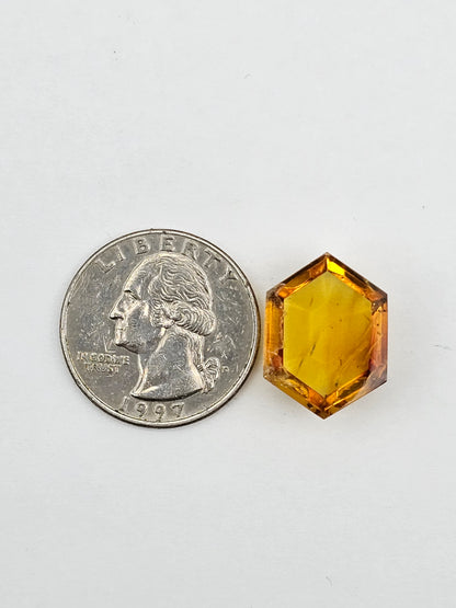 Amber authentic cabochon large