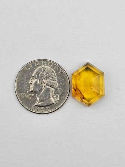 Amber authentic cabochon large