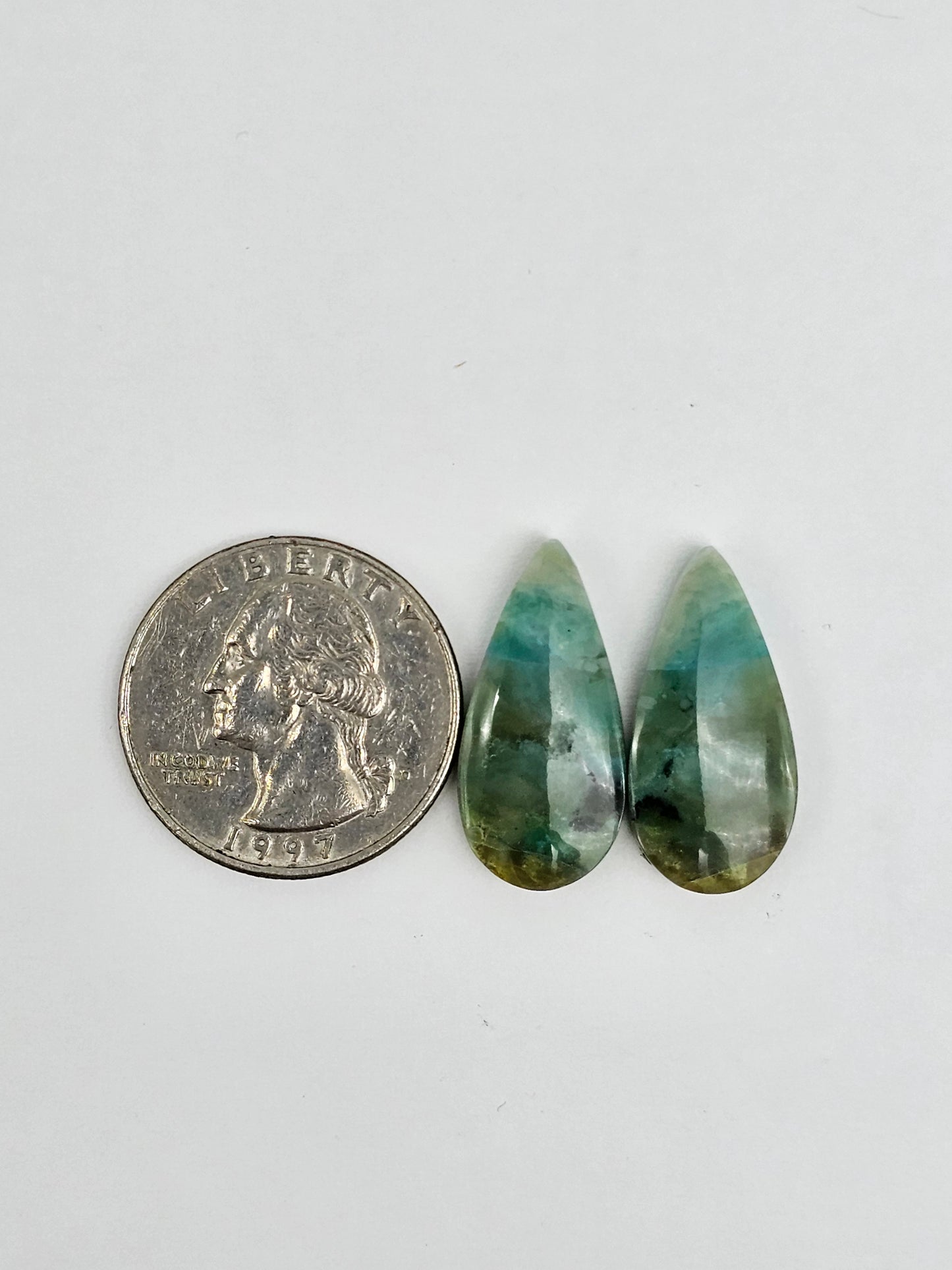 Blue Opal Petrified Wood Cabochon Pair