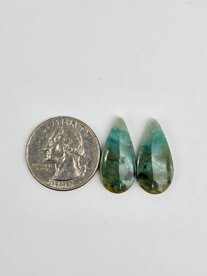 Blue Opal Petrified Wood Cabochon Pair