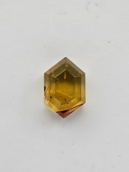 Amber authentic cabochon large