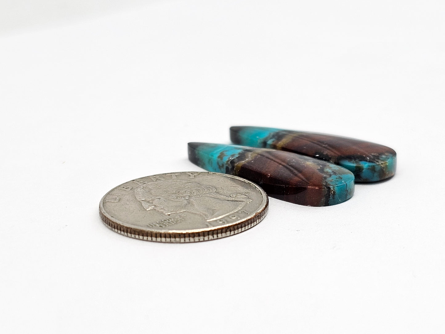 Blue Opal Petrified Wood Cabochon Pair