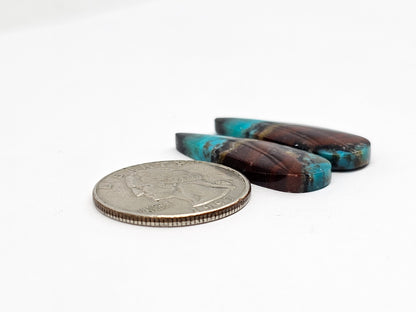 Blue Opal Petrified Wood Cabochon Pair
