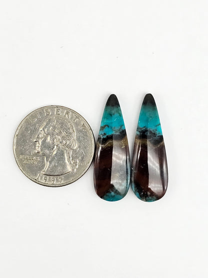 Blue Opal Petrified Wood Cabochon Pair