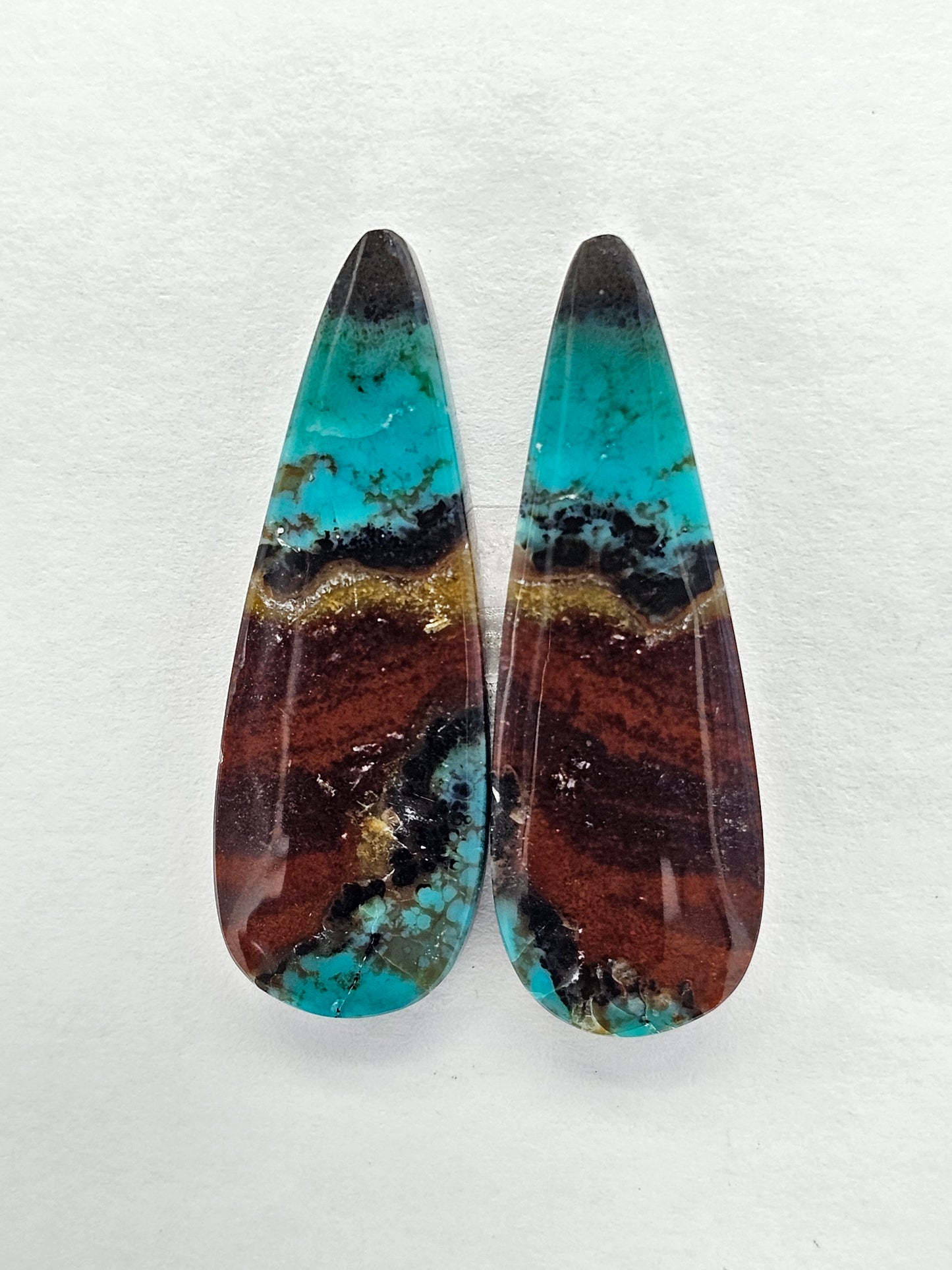 Blue Opal Petrified Wood Cabochon Pair