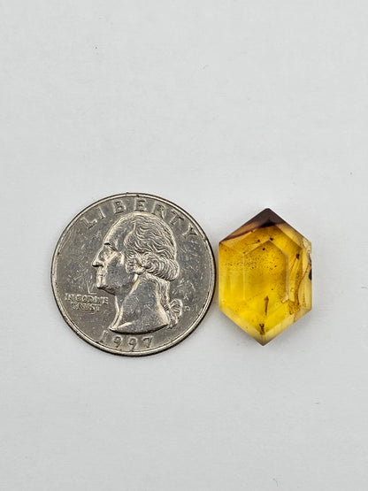 Amber authentic cabochon large