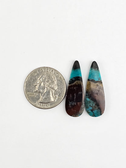 Blue Opal Petrified Wood Cabochon Pair