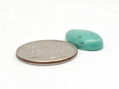 Mexican Turquoise Cabochon | Artisan Cut Gemstone