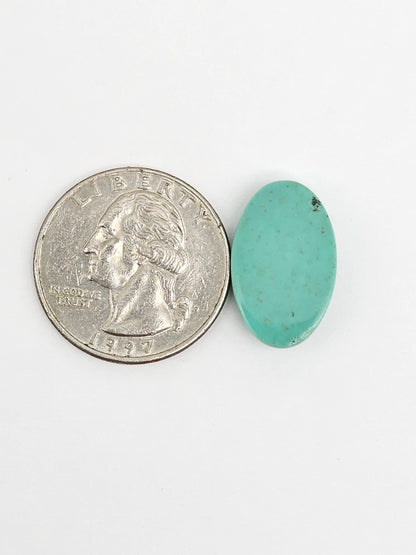 Mexican Turquoise Cabochon | Artisan Cut Gemstone