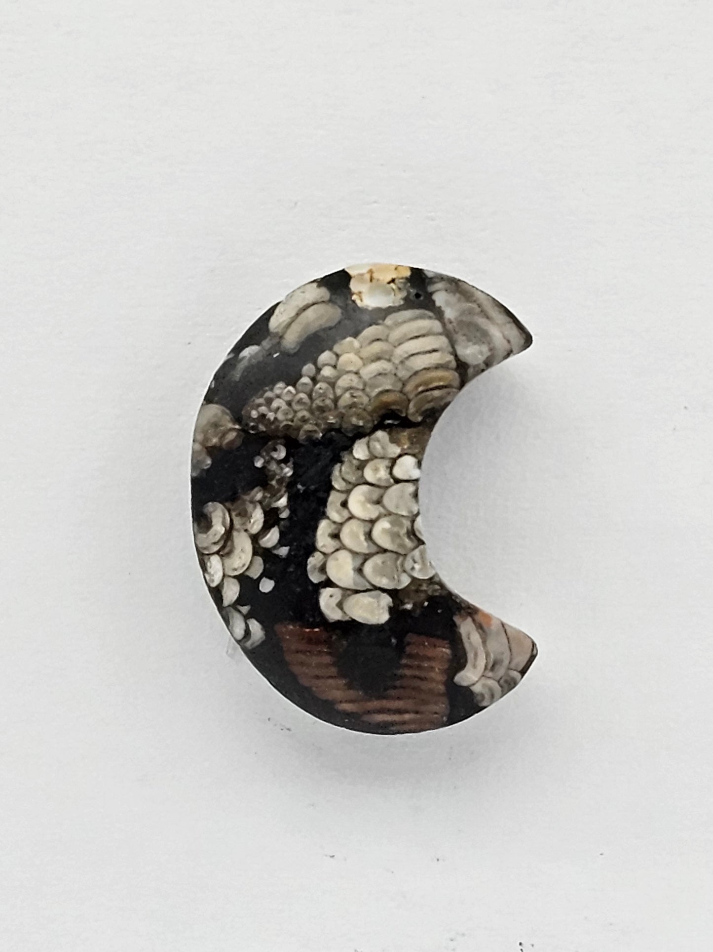 Snake skin agate moon cabochon