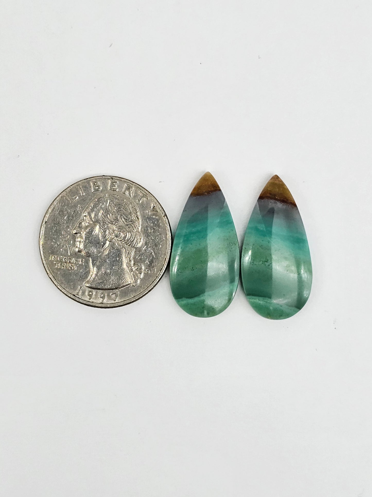 Blue Opal Petrified Wood Cabochon Pair