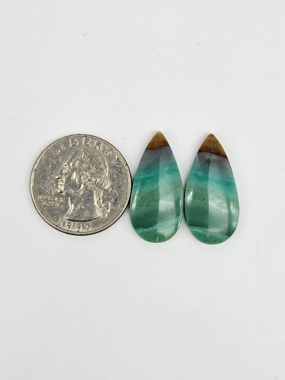 Blue Opal Petrified Wood Cabochon Pair