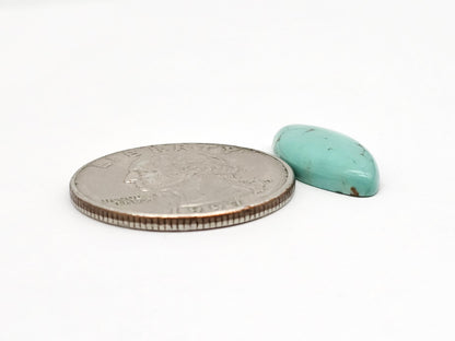 Mexican Turquoise Cabochon | Artisan Cut Gemstone