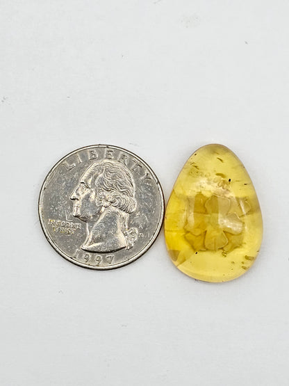 Amber authentic intaglio cabochon large