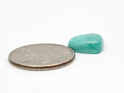 Mexican Turquoise Cabochon | Artisan Cut Gemstone