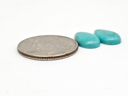 Mexican Turquoise Pair | Artisan Cut Gemstone