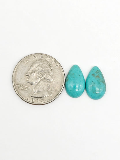 Mexican Turquoise Pair | Artisan Cut Gemstone