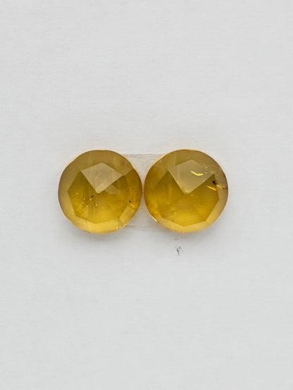 Amber authentic cabochon pair large