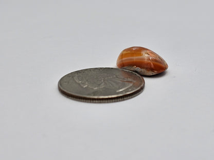 Mexican Cantera Opal Cabochon