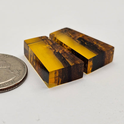 Amber authentic cabochon pair large
