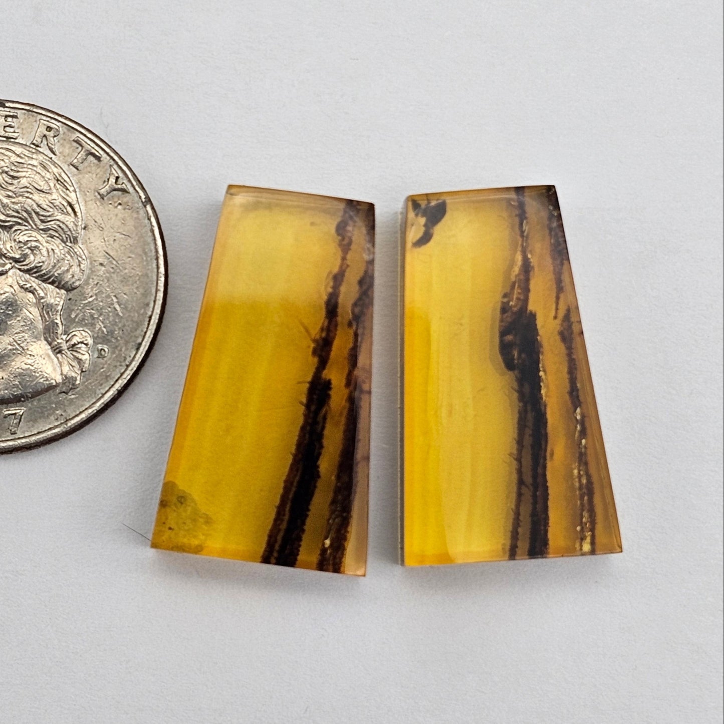 Amber authentic cabochon pair large