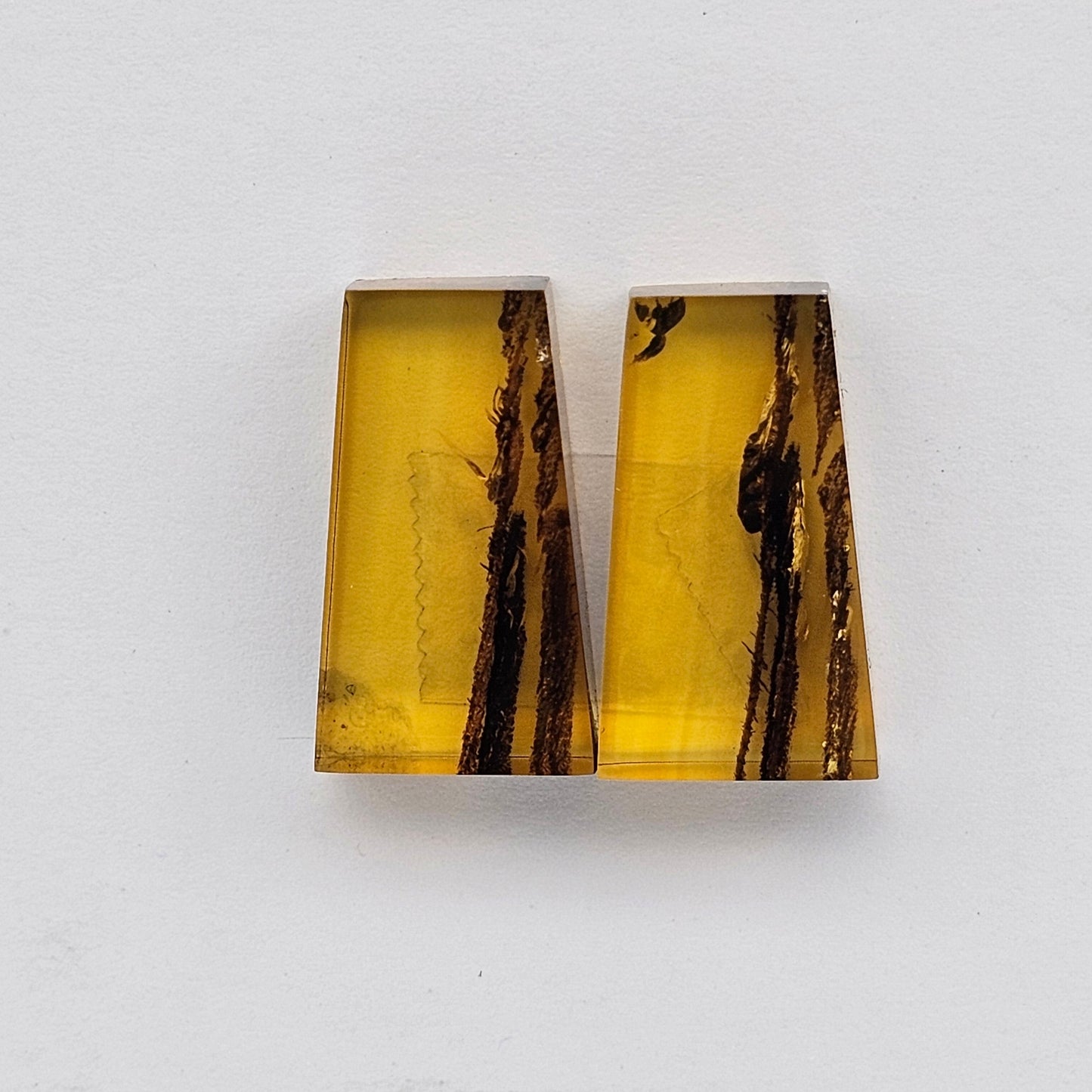 Amber authentic cabochon pair large